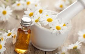 Roman Chamomile essential oil